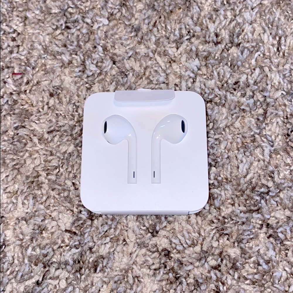 Apple Earphones